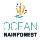 oceanrainforest.com