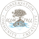 oceantreestudios.com
