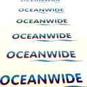 oceanwideseafood.co.uk