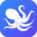 octopusbi.com