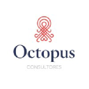 octopusconsultores.com.ar