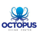 octopusdivingcenter.com