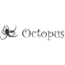 octopusgroup.in