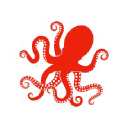 octopussyconsulting.com