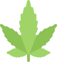 Ohana Cannabis Santa Cruz Logo