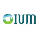 oium-consulting.com