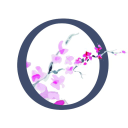 Okeiro (ex Predict4Health)