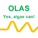 olasalgae.com