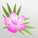 Oleander Medical Technologies