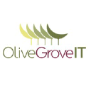 Olive Grove IT in Elioplus