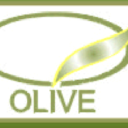 OLIVE MFB logo