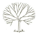 olivetreecatering.com.au