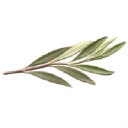 Olivia's Garden logo