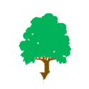 Olympia Landscape Development Logo