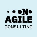 onagileconsulting.com