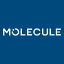 MOLECULE logo