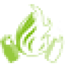 On Point Restore logo