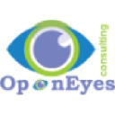 openeyesconsulting.com
