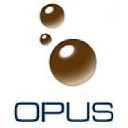 opuspetroleum.com