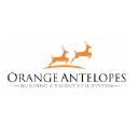 orangeantelopes.com