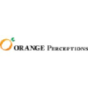 orangeperceptions.com