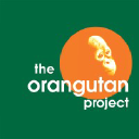 orangutan.org.au