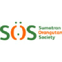 orangutans-sos.org