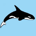 orca-diveclub-somabay.com