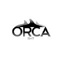 orcasmt.com