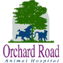 orchardroadanimalhospital.com