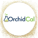 orchidcal.com
