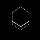 Organicvision