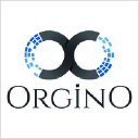 orgino.com.tr