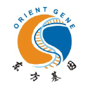 orientgene.com