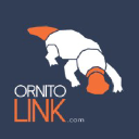 ornitolink.com