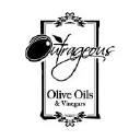 OUTRAGEOUS OLIVE OILS, LLC