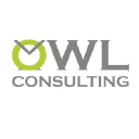 owl-consulting.uk