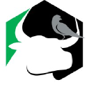 oxbird