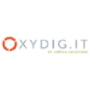 oxydigit.com