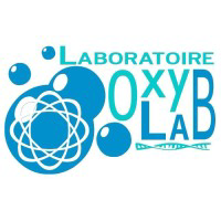 emploi-oxylab