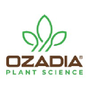 ozadia.com