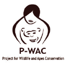 p-wac.org