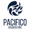 pacificoaquaculture.com