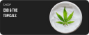 PACKS Club Weed Dispensary San Bernardino Logo