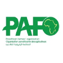 pafo-africa.org