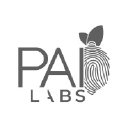 pailabs.cl
