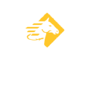 Paladin Airport Security Services logo