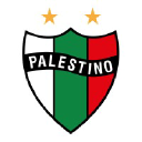 palestino.cl
