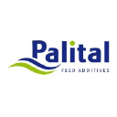 palital.com