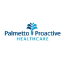 palmettoproactive.com
